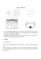 [지각] 지각의 개념, 지각과정, 지각에 영향을 미치는 요인, 지각대상의 조직화, 지각해석-13
