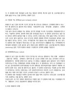 [조직문화] 조직문화의 개념과 특성, 조직문화의 구성 및 형성요소, 조직문화의 기능과 유형-19