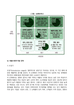 [경영전략] 경쟁환경분석(SWOT), 산업 내 경쟁세력모형, 경쟁전략유형, BCG매트릭스, GE매트릭스, 제품수명주기별 전략-11