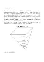 [경영조직설계] 조직구조의 기본원칙과 유형, 기업의 조직구조의 동향-18