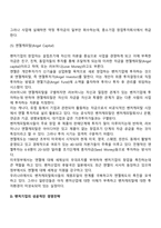 벤처기업의 개념과 유형, 벤처캐피탈의 형태, 벤처기업 성공전략-8