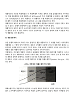 [마케팅관리] 마케팅믹스전략(제품전략, 가격전략, 촉진전략, 유통전략)-11
