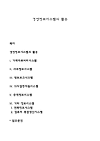 경영정보시스템의 활용-1