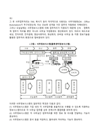 경영정보시스템의 활용-4