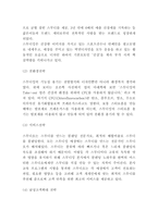 스무디킹 기업 경영전략과 SWOT분석 및 미래전망-4