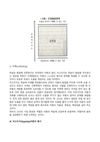 아동발달 이론중 피아제 이론과 비고츠키 이론을 각각 설명하고 두개의 이론을 비교하여 유사점과 차이점을 논하시오-10