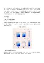 [아동기 발달특성] 아동기 신체발달, 인지발달, 사회정서발달 특징-4