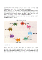 [아동기 발달특성] 아동기 신체발달, 인지발달, 사회정서발달 특징-11