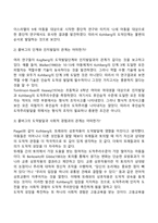 피아제와 콜버그의 도덕성 발달이론-12