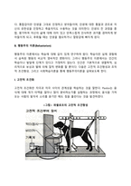 아동발달이론(정신분석이론, 행동주의이론, 인지발달이론, 동물행동학적 이론, 생태학적 관점)-11