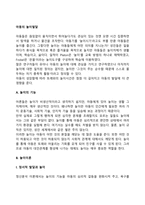 아동의 놀이발달(놀이의 기능, 특성, 가치, 놀이이론, 놀이발달)-3