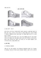 [태아발달] 임신의 단계와 변화, 태내발달의 단계와 영향요인-18
