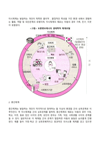 생태학적 이론-3