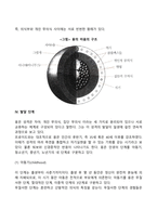융(Jung)의 분석심리학(분석심리이론)-10