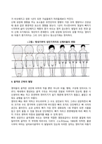 영아기, 유아기의 발달특성-4