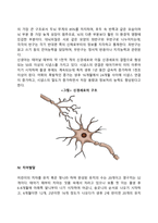 영아기, 유아기의 발달특성-6
