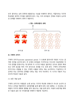 피아제의 인지발달이론의 주요개념(동화, 조절, 평형화)과 인지발달 단계에 대하여 서술하시오-16