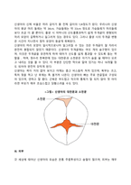 신생아기 발달-8