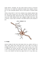영아기 발달-6