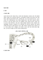 임신과 출산-5