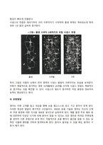 영아기와 유아기의 발달특성-5