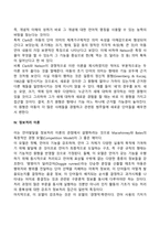영유아기 언어발달이론-11