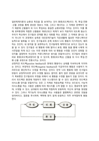 일반체계이론-11