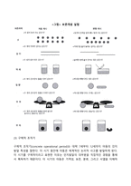 인지발달이론-10