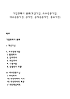 기업형태의 분류(개인기업, 소수공동기업, 다수공동기업, 공기업, 공사공동기업, 중소기업)-1