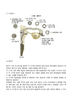 태내기 발달(수정, 태아의 발달단계, 태아발달의 영향요인, 유전적 이상)-3