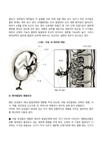 태내기 발달(수정, 태아의 발달단계, 태아발달의 영향요인, 유전적 이상)-5