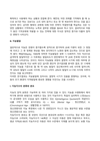 아동기 인지발달-6