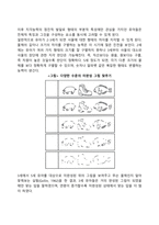 유아기, 아동기 감각, 지각, 기억발달-4