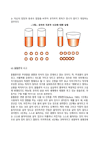 [피아제의 인지발달단계] 감각운동기, 전조작기, 구체적 조작기, 형식적 조작기-10