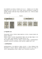지적장애(정신지체), 학습장애의 개념, 원인, 특성, 판별 및 평가 방법, 교육 방안-11