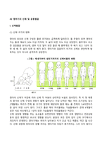 신생아기, 영아기의 신체발달의 특징-5
