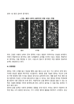 신생아기, 영아기의 신체발달의 특징-7