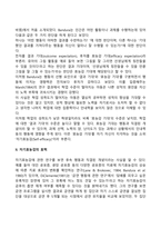 유아의 자아발달-10