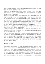 통찰치료-4