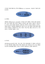 [경영학] 경영학의 개념과 성격, 경영학의 연구대상과 연구방법-8
