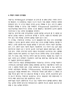 학령전기, 학령기 아동의 인지발달-4