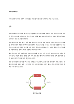 사회복지조사론 사회복지조사연구의 과학적 연구수행은 어떤 절차에 의해 이루어지는가를 서술하시오-1