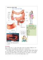 간호학과 영문아티클 번역 및 요약-5