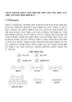 사정이란 무엇인지를 서술하고, 사정의 대상에 대한 간략한 소개와 가계도, 생태도, 소시오그램을 그리며 문제의 목표를 설정해 봅니다-2