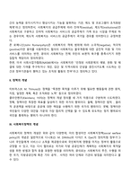 사회복지정책의 정의에 관하여 설명하시오-3
