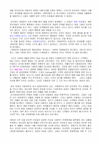 [광고경영]피자헛과 브라질 REAL-4