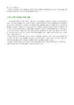 [광고경영]피자헛과 브라질 REAL-9