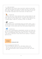 [마케팅]SK Telecom경영전략의 네가지관점-4
