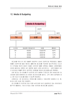 [마케팅, 광고기획] 박카스 마케팅전략 및 광고기획-11