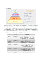 [품질경영] 포스코의 6시그마-4